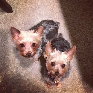 Meet your Posher, Brooke